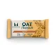 Protein Flapjack (Vzorek)