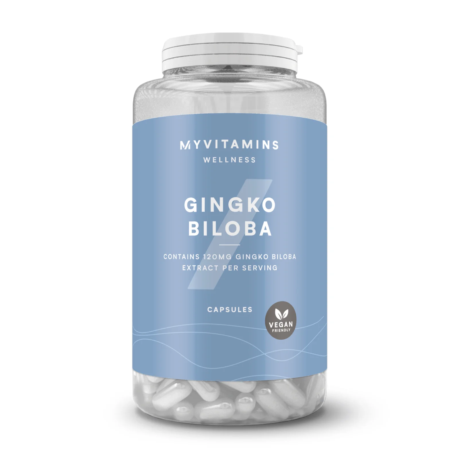 Gingko Biloba - 90Kapsle Obrázek 1